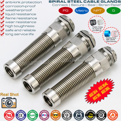 Presse-étoupe spirale PG en acier inoxydable AISI316L, AISI316, AISI304 (IP68) avec décharge de traction supplémentaire