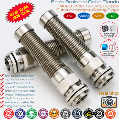 Presse-étoupes (kablovske uvodnice) métalliques IP68 PG en acier inoxydable SS304/SS316 avec protecteur en spirale